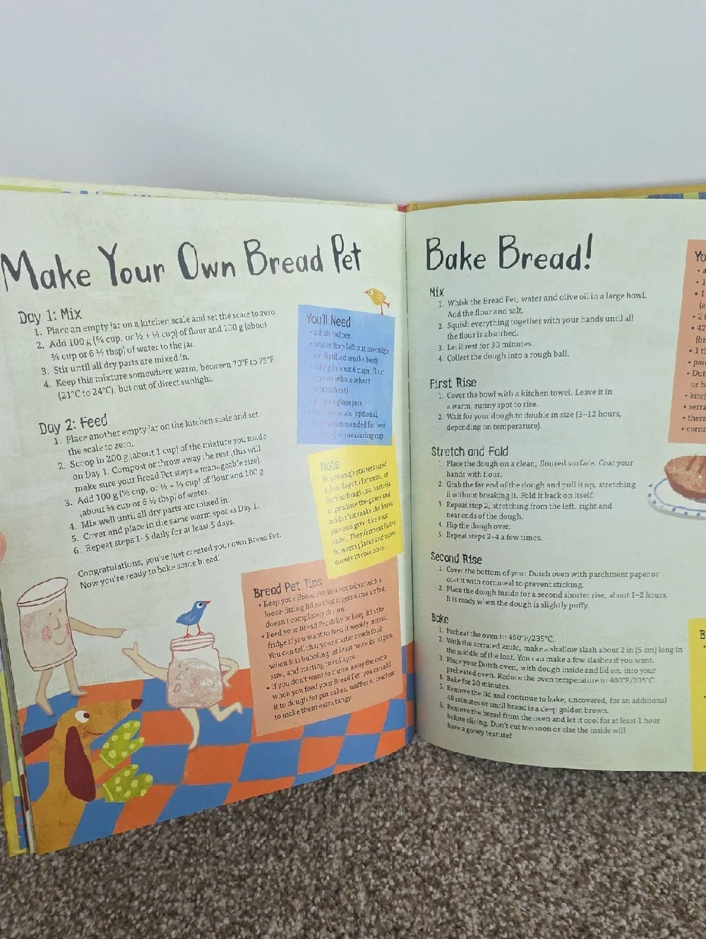 Taylor Swift And Sour Dough Bread Hardcover Books